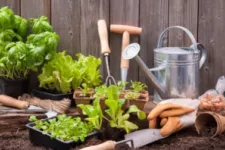 Using your garage for a gardening head start